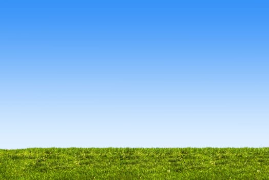 blue sky and grass