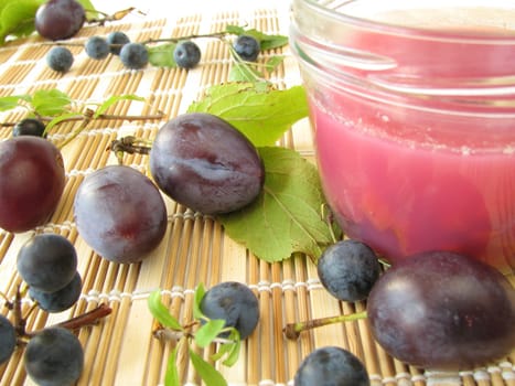 Jam with sloe and plum