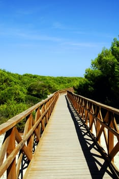 The dunes