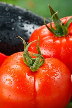 Composition with raw vegetables