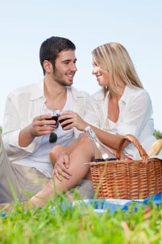 Picnic - Romantic happy couple celebrating with wine in sunny nature
