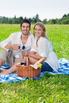 Picnic - Romantic happy couple celebrating with wine in sunny nature