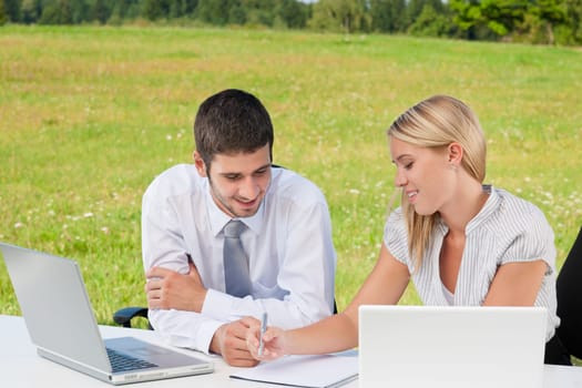 Business colleagues in nature office working on laptop smile
