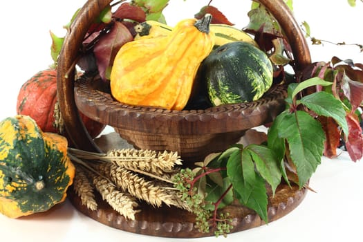 a basket decorated with ornamental pumpkin,wild vine and ears of wheat