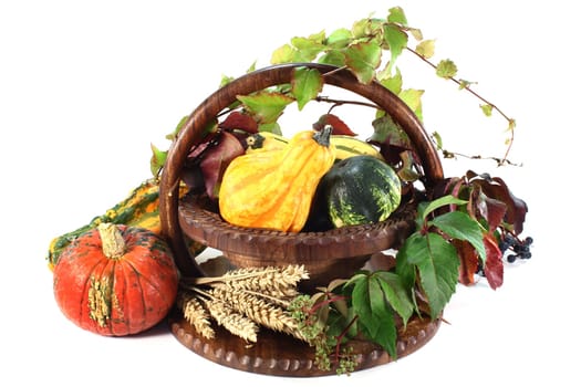 a basket decorated with ornamental pumpkin,wild vine and ears of wheat