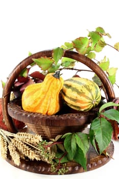 a basket decorated with ornamental pumpkin,wild vine and ears of wheat