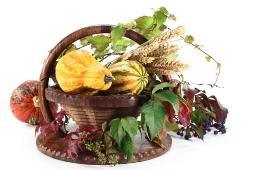 a basket decorated with ornamental pumpkin,wild vine and ears of wheat