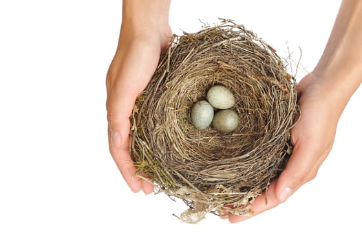 Young woman holding blackbird nest over white background