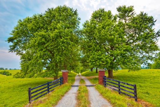 Entrance gate to a long country driveway