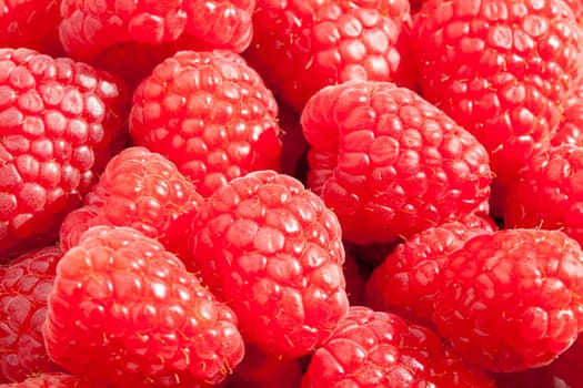 Extreme closeup of fresh ripe raspberries