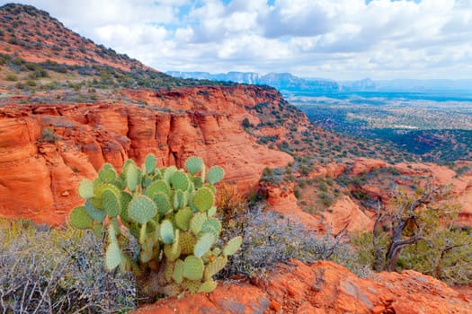 Rocky desert landscape with cloudy skies near Sedona, Arizona