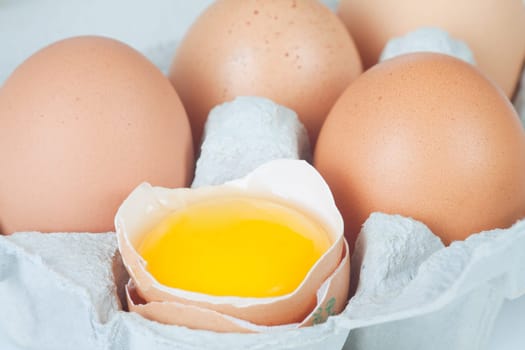 Chicken eggs in egg carton
