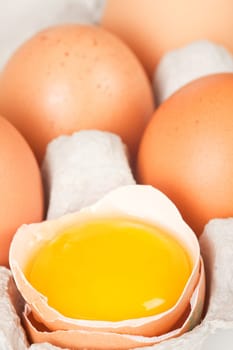 Chicken eggs in egg carton
