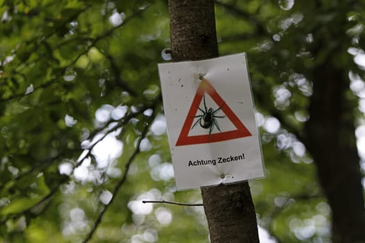Attention ticks