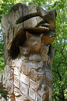 Treetop Walk in Hainich National Park
