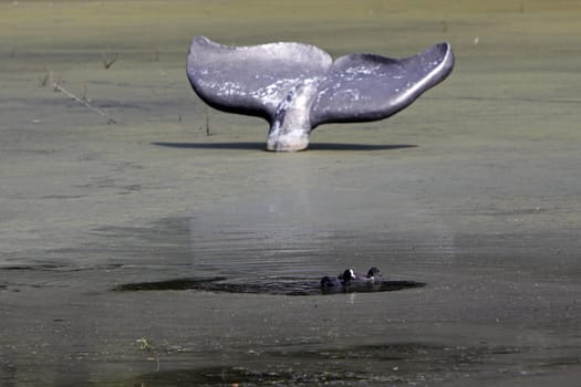 Sculpture Walfluke in the Olderdissen Zoo