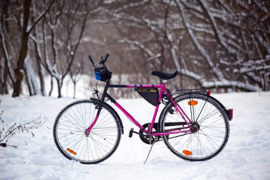 Bikes standing on snowy road in the woods