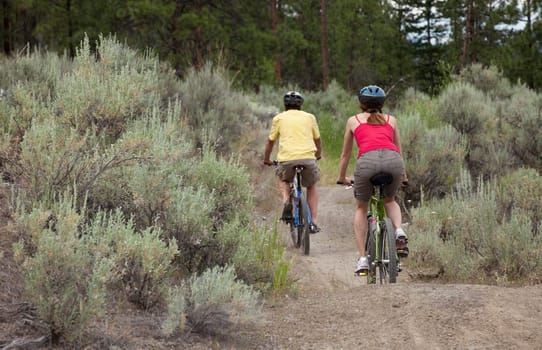 Rear view of two people riding bikes on a forest trail