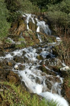 White, foamy water flowing through and down the rocks in green surroundings
