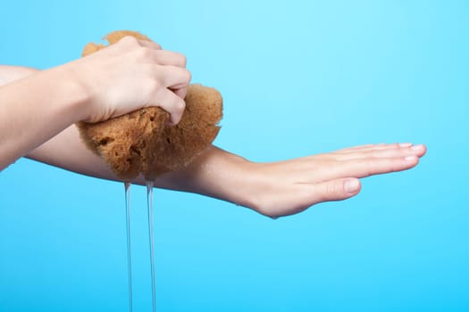 Woman washing her hands with natural sponge from Mediterranean sea. Blue background.