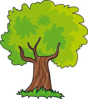 green tree cartoon illustration