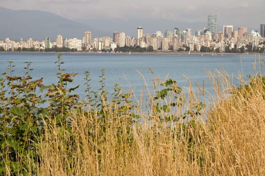 Vancouver BC Canada Downtown City Skyline from Hasting Mills Park