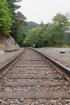 Railroad Tracks Through the Pacific Northwest Vertical