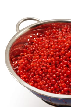Fresh red currant berries with water drops in colander - isolated