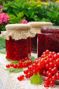 Jars of homemade red currant jam with fresh fruits