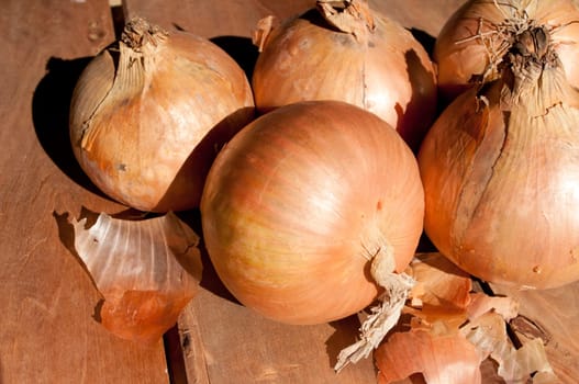 Yellow Onion on Wooden Table in Sunlight