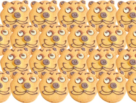 Range of homemade baked cookies with cat face isolated on white