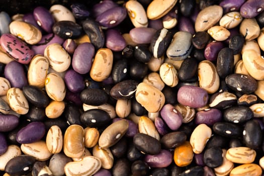 Colorful beans