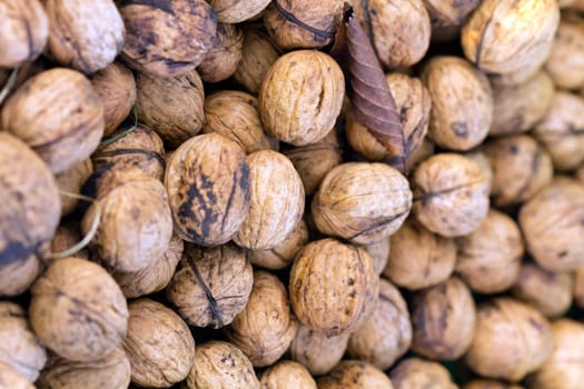 Walnut - Background