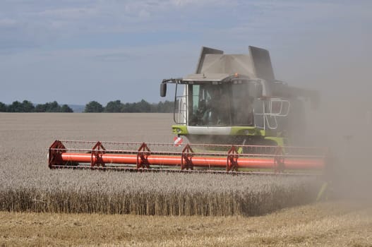 harvester at work in corn field, heavy smoke over spikes and stubble in plains of saxony