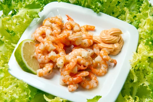 shrimp salad on fresh lettuce