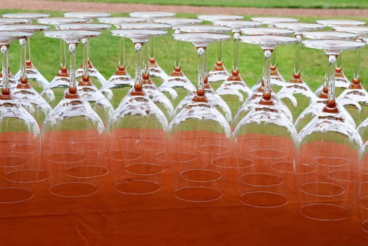 champagne glasses of orange tablecloth