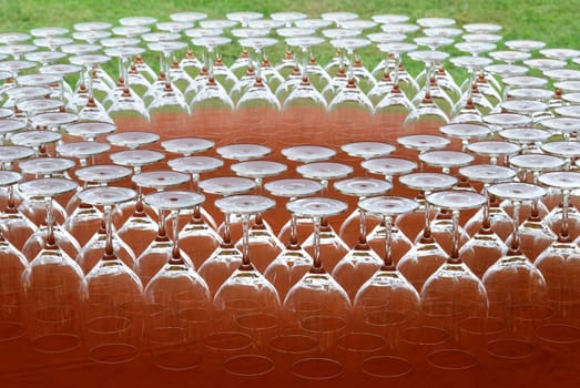 champagne glasses of orange tablecloth