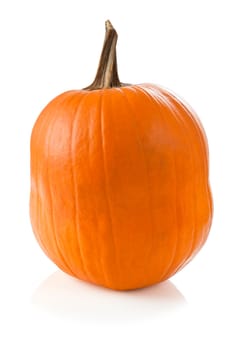 Ripe pumpkin isolated on white background