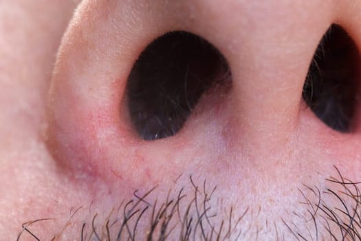 Close up of nostrils and hair in the male nose bottom view. Selective focus