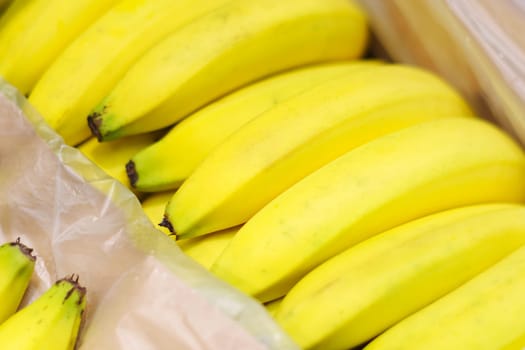 Fresh yellow bananas in close-up on the shelves of a hypermarket.