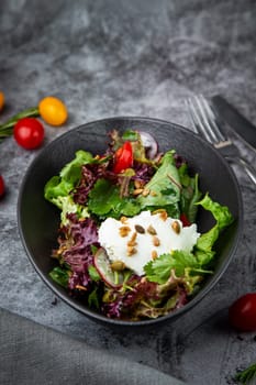 fresh salad with herbs and cherry tomatoes