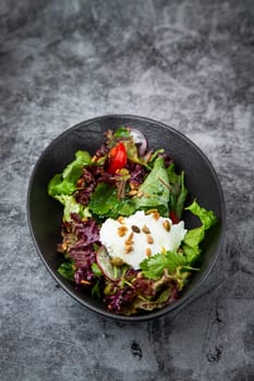 fresh salad with herbs and cherry tomatoes