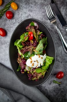 fresh salad with herbs and cherry tomatoes