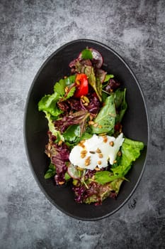 fresh salad with herbs and cherry tomatoes