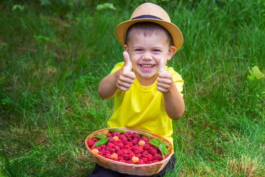 the boy holds a basket with ripe raspberry berries. Selective focus