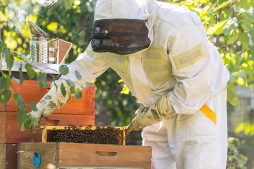 Beekeeper holding honey comb or frame with full of bees on his huge an apiary, beekeeping concept