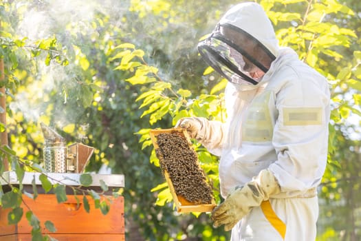 Beekeeper holding honey comb or frame with full of bees on his huge an apiary, beekeeping concept
