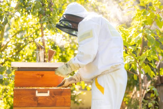 Beekeeper doing maintenance on his huge an apiary, removing old medication from honey comb, beekeeping concept