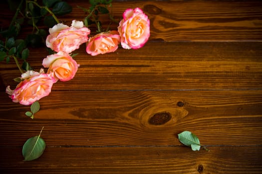 Floral background of pink roses on a dark wooden table