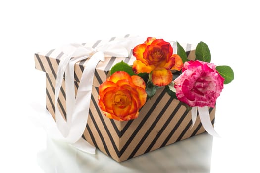 gift box with ribbons and beautiful roses inside, isolated on a white background.